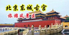 大鸡吧操小逼网站中国北京-东城古宫旅游风景区